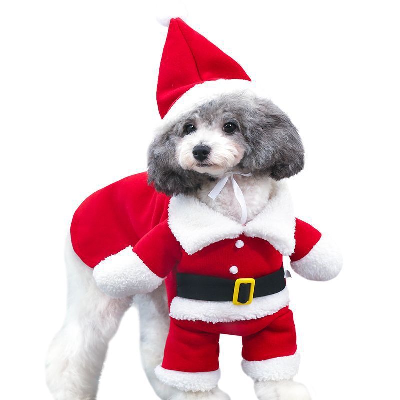 Costume de Noel  Pour chien