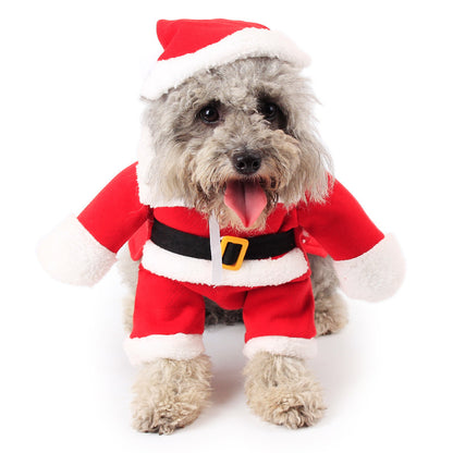 Costume de Noel  Pour chien