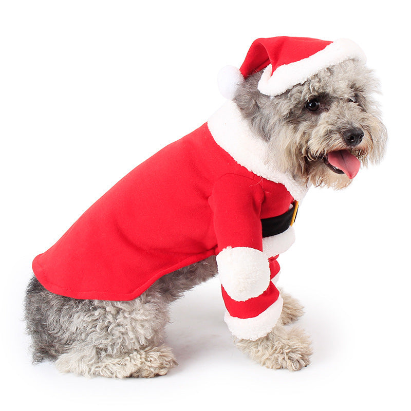 Costume de Noel  Pour chien